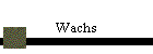 Wachs